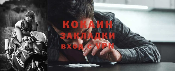 дурь Инта