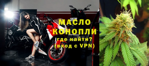 дурь Инта