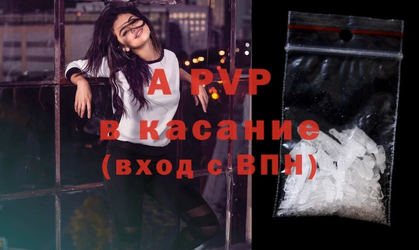 дурь Инта