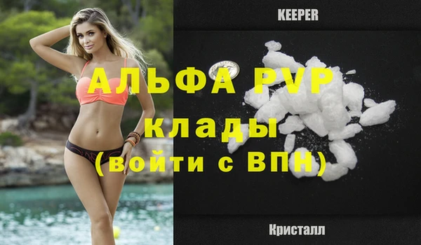 дурь Инта